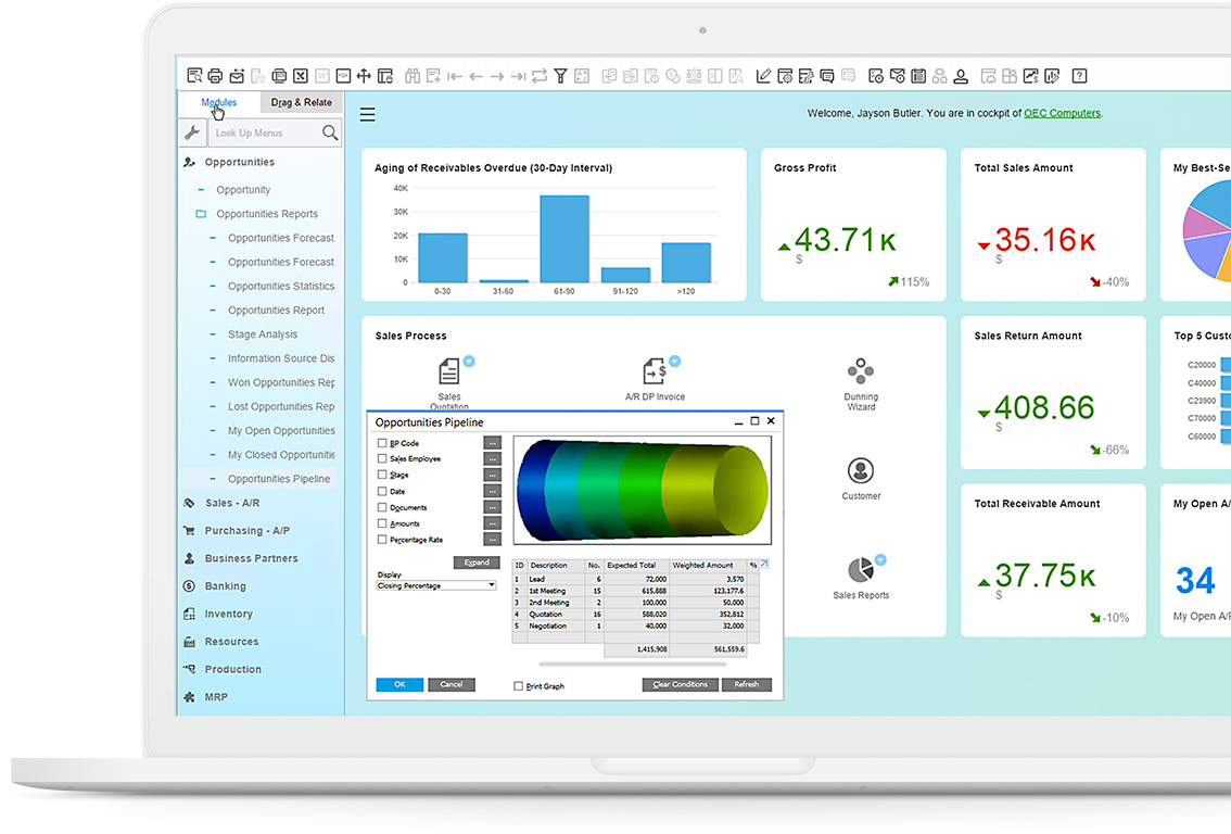 SAP Business One